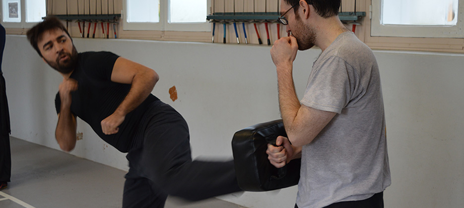 stage de kung-fu / jeet-kune-do a Salies-de-Béarn