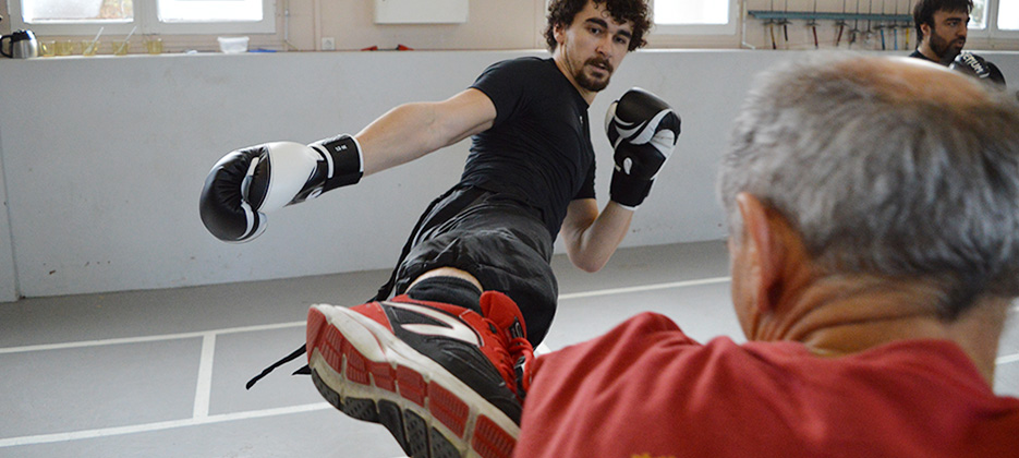 stage de kung-fu / jeet-kune-do a Salies-de-Béarn