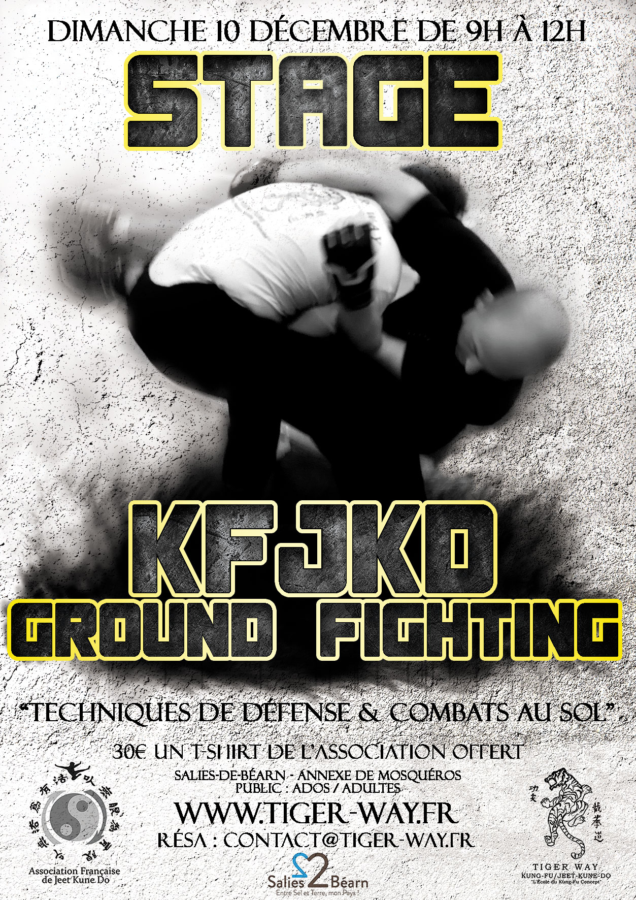 Stage – Ground Fighting 10 décembre 2017