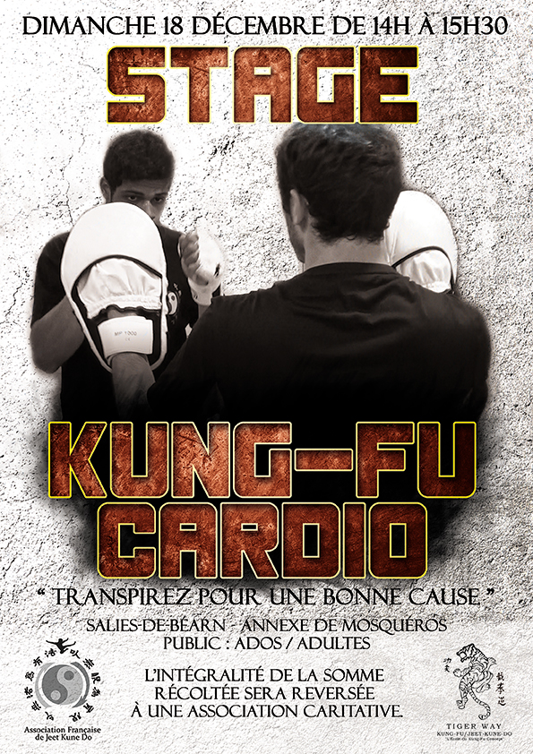 Stage kung-Fu Cardio – Salies