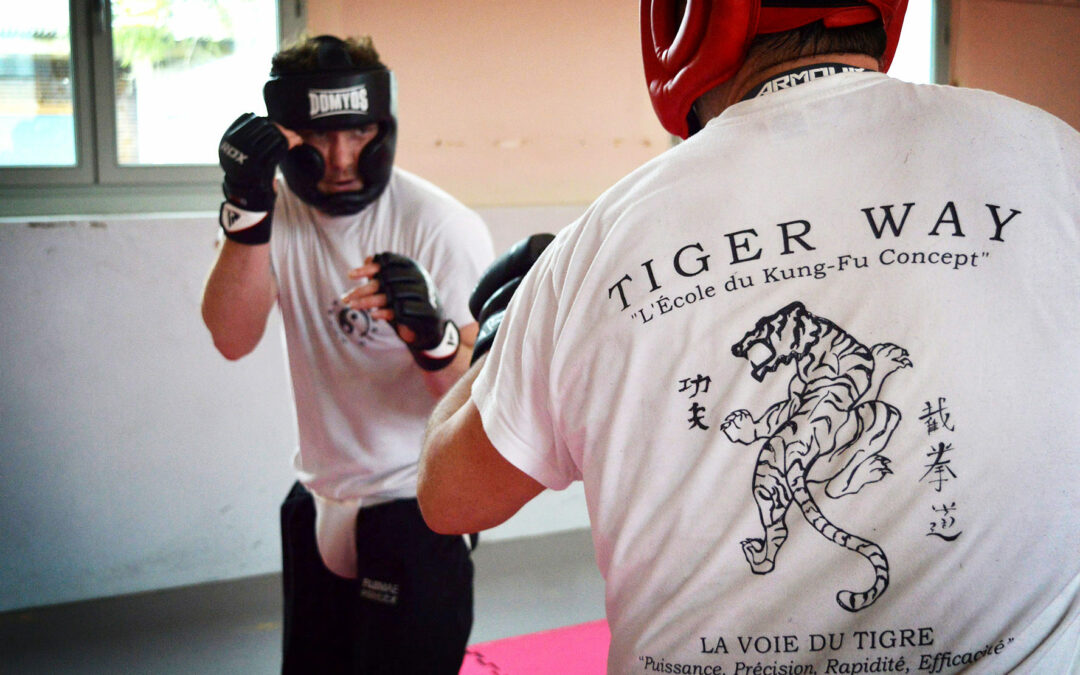 nouvelle saison de cours de kung-fu Jeet Kune Do