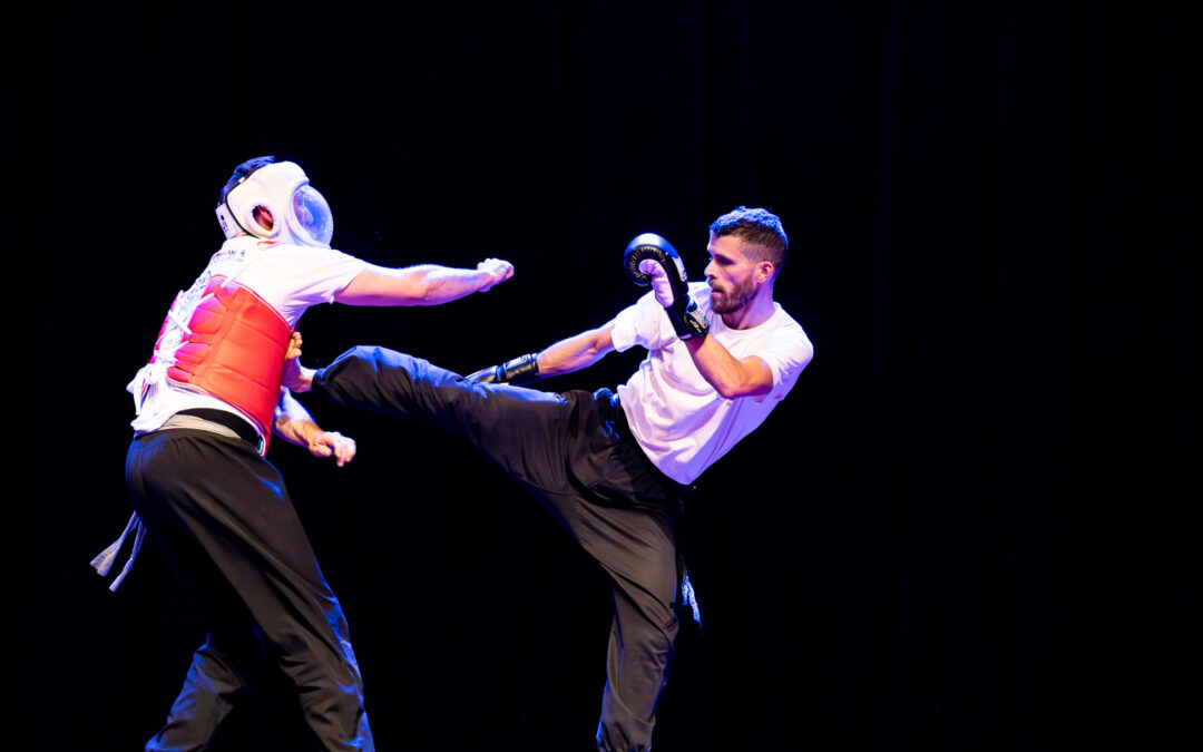 Cours de kung-fu Jeet Kune Do de l'école Tiger Way : Bayonne, Salies-de-bearn, Habas